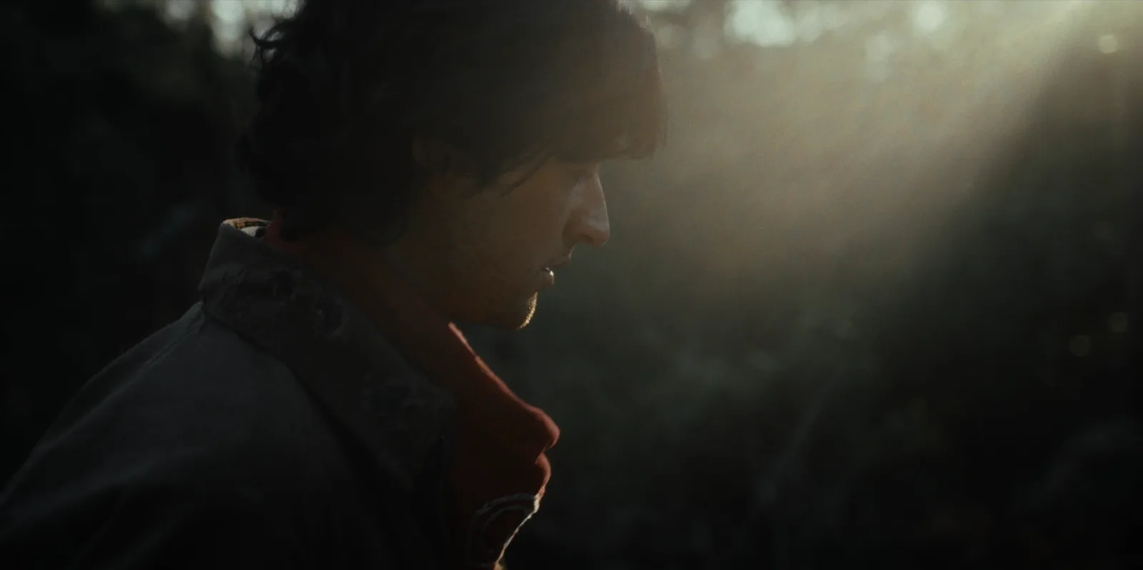 A young man in a jacket and red scarf in profile, a shaft of sunlight cutting through the dark bush behind him.