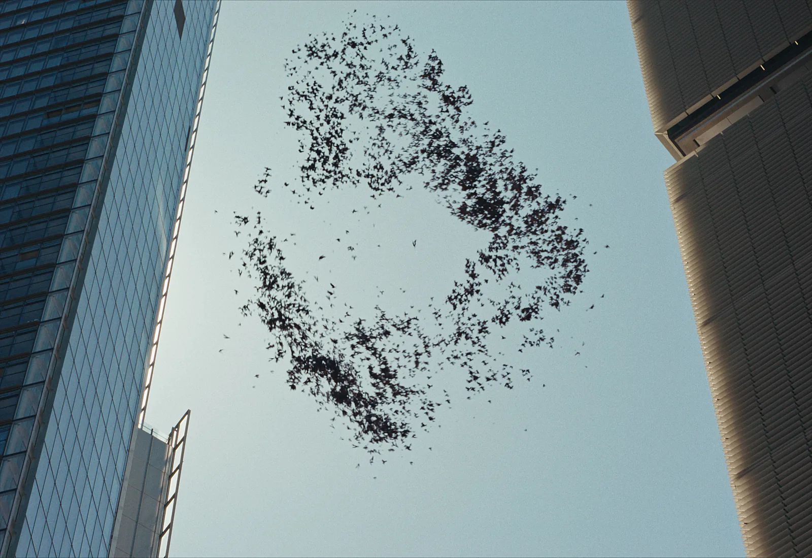 A dense flock of birds turns in a ring against a pale sky between two towers.