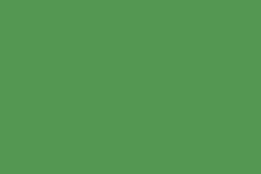12' Superior Seamless Paper Roll - #85 Chrome Green product image