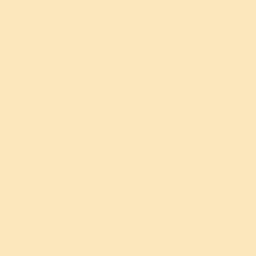 9' Superior Seamless Paper Roll - #65 Cream product image