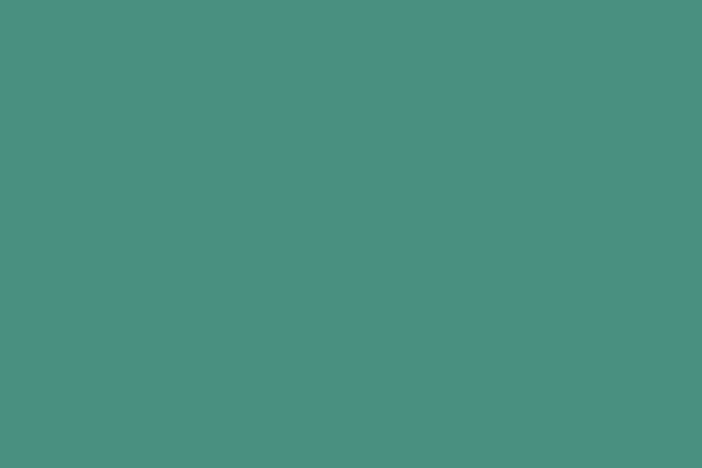 9' Superior Seamless Paper Roll - #74 Spruce product image
