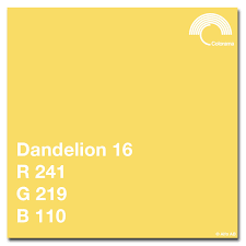 Colorama 9' Seamless Paper Roll - #16 Dandelion product image