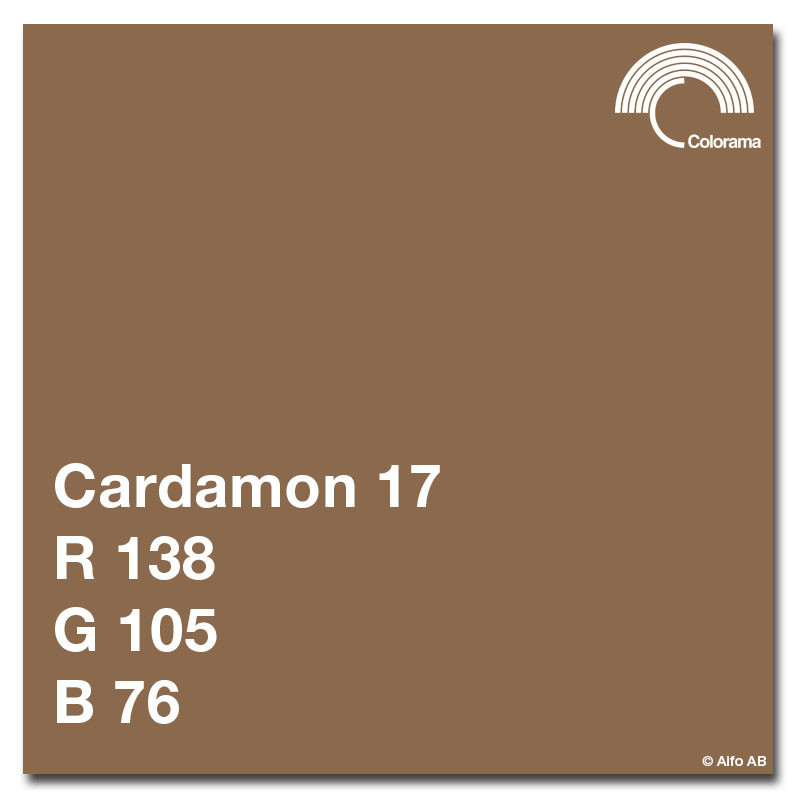 Colorama 9' Seamless Paper Roll - #17 Cardamon product image