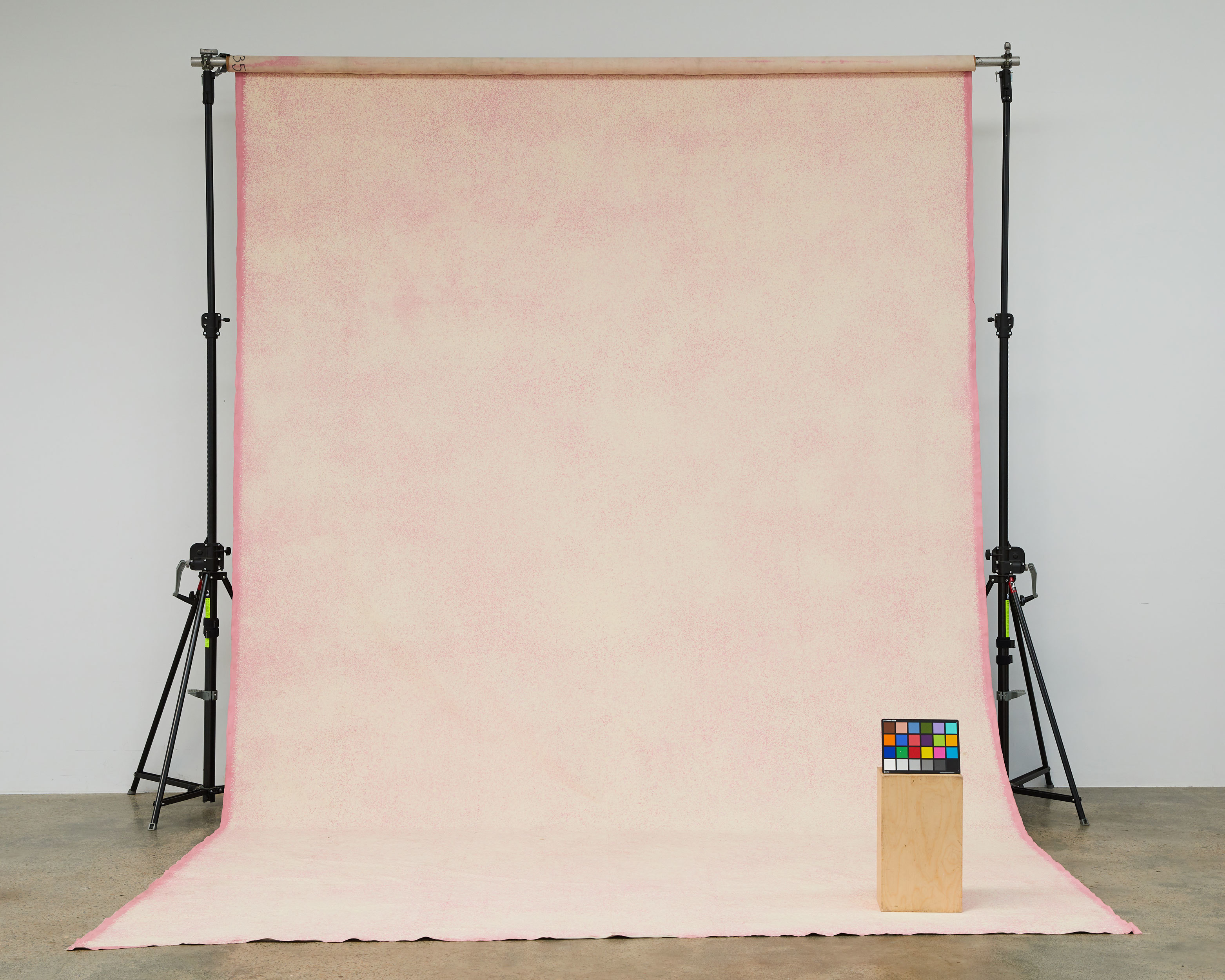 Schmidli Canvas Backdrop - Pink, Light, Warm - 12' x 20' Catalogue #1835 product image