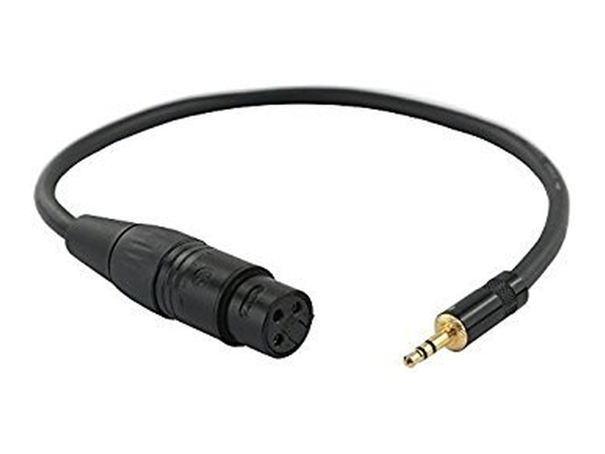1.5' XLR (F) - 3.5mm (M) Cable product image