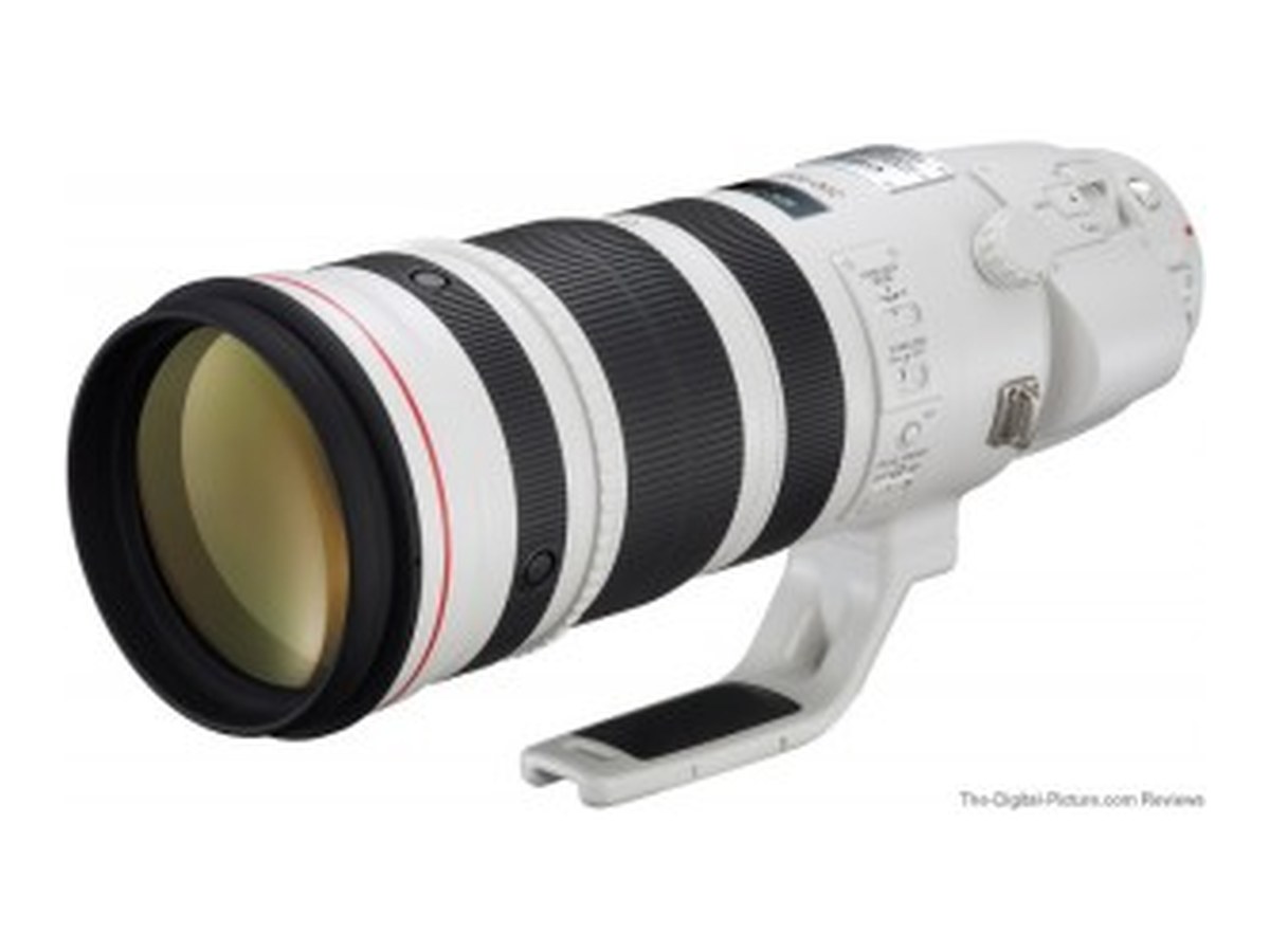 Canon EF 200-400mm F/4L IS USM with 1.4x Extender II Lens product image